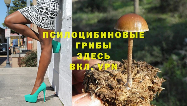 2c-b Бородино