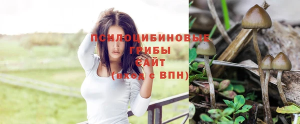 2c-b Бородино