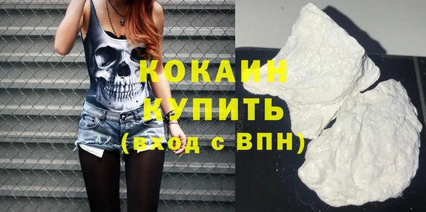 2c-b Бородино