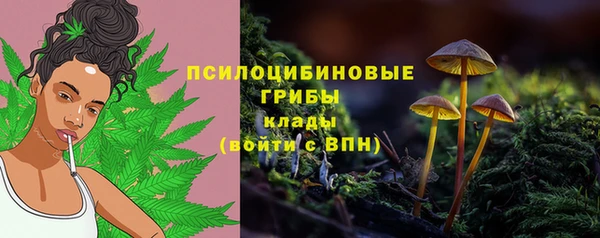 2c-b Бородино